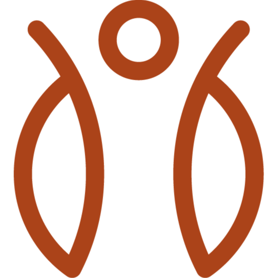 Dolfino